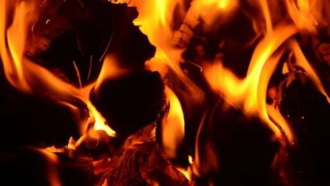 The wood burning in the fireplace Stock Footage 128311743