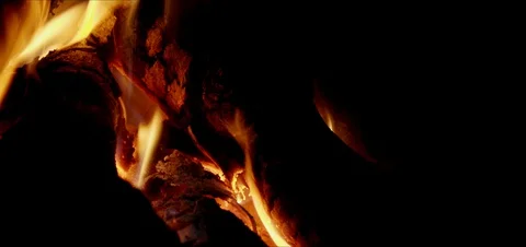 Wood burning in the fireplace Stock Footage