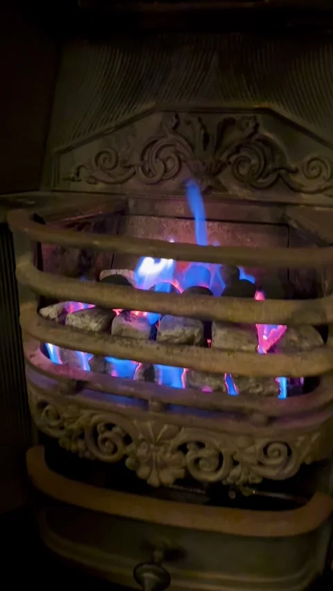 Wood burning in the fireplace Stock-Footage 313983559