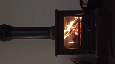 Wood burning fireplace with glass door Stock Footage