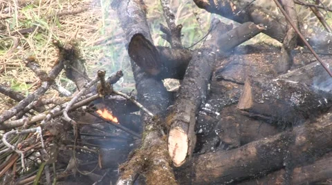 Wood Burning Stock Footage