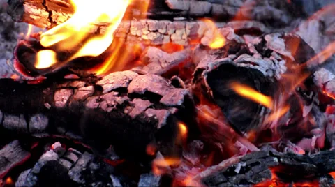 Wood is burning Stock Footage 39562830