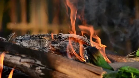 Wood burning Stock Footage 146999292