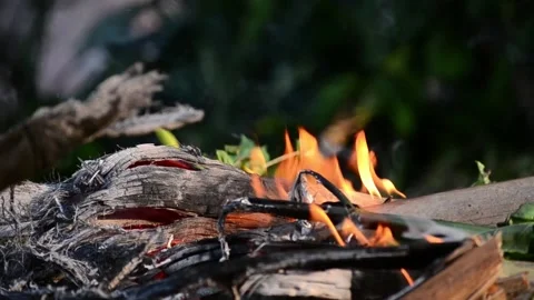 Wood burning Stock Footage 146999295