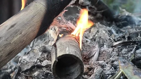 Wood  is burning Stock Footage 147861810