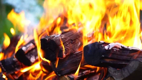 Wood burning in the grill Stock Footage 94831446