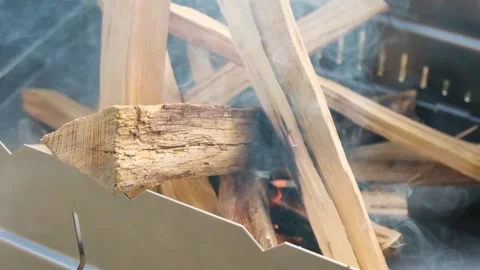 Wood is burning in the grill Video stock 150520342
