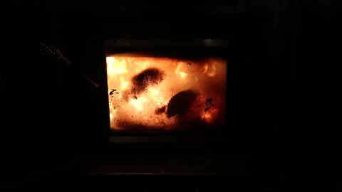 Wood Burning Stove Stock Footage 172266130