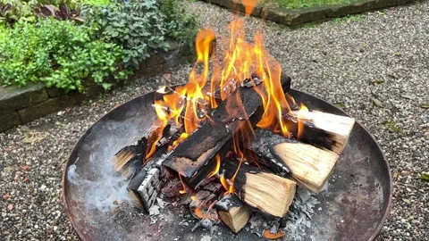 Wood burns in the container Stock Footage 230083006