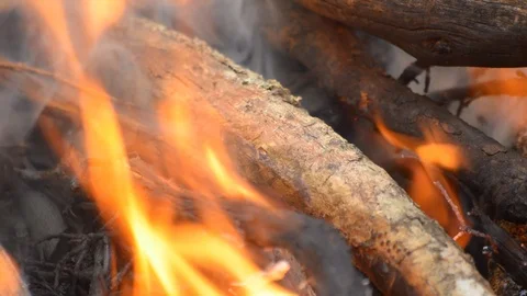 Wood Burns In Fire Vídeo Stock 89936101