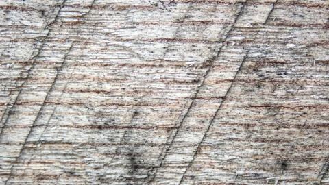 Wood-buzzsaw-cut-pattern - 03 Stock Photos