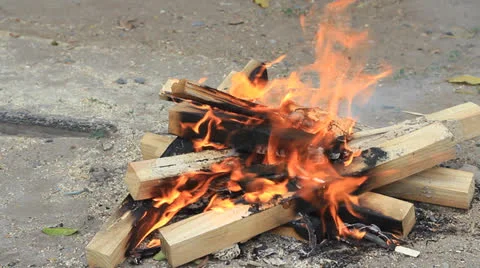 Wood campfire burning Stock Footage 22606841