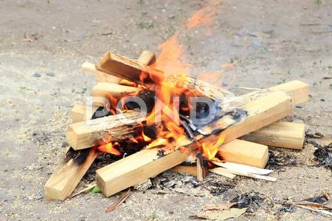 Wood campfire burning Stock Photos