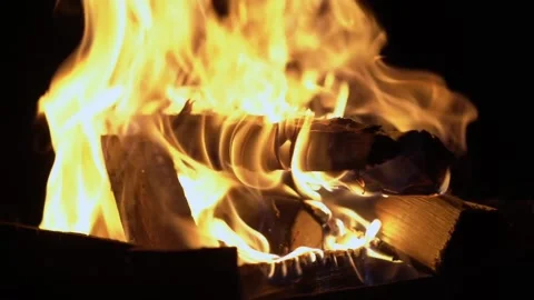 Wood camping fire Stock-Footage 277790894