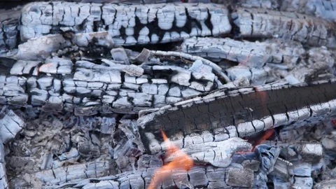 Wood charcoal 스톡 동영상 78169709