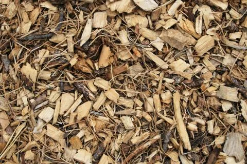Wood chip background Stock Photos