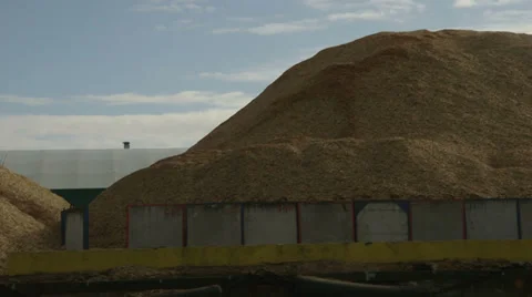 Wood Chip mountain Stock Footage 36448379