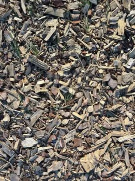 Wood Chip Mulch Texture Background Fotos Stock