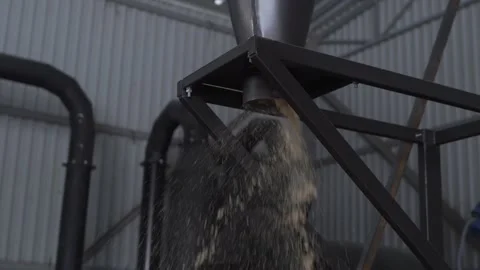 Wood chip processing machine pours chopped wood shavings Stock Footage 196018175