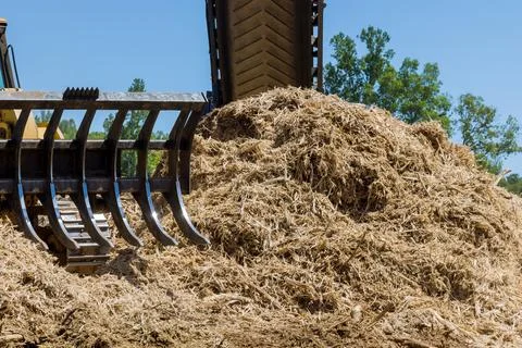 Wood chip production processing facility in the mountains Stock Photos