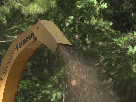 Wood chipper, arboriculture tree cutting, logging Stock Footage 74835709