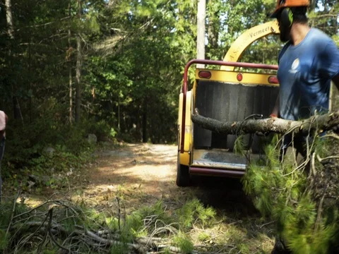 Wood chipper, clearing a property Stock Footage 74834612