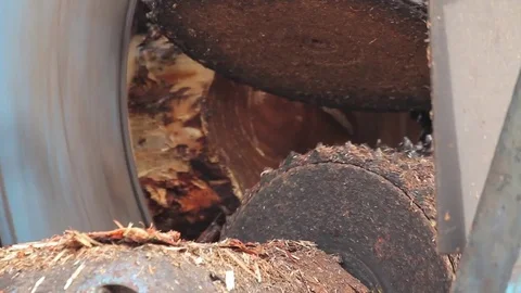 Wood chipper 스톡 동영상 77044990