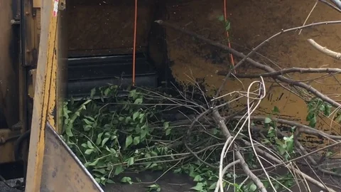 Wood into Chipper 스톡 동영상 77143665