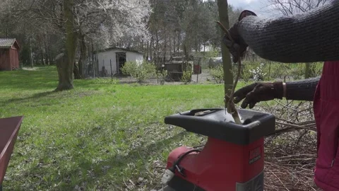 Wood chipper Stock Footage 154429019