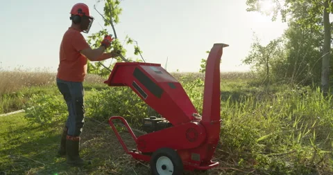 Wood chipper machine man shredding tree branches gardening work Stock Footage 301229273