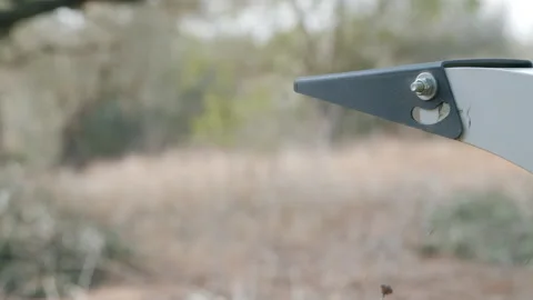 Wood Chipper Machine shredding pruning remains. Extreme Close Up 스톡 동영상 245467291