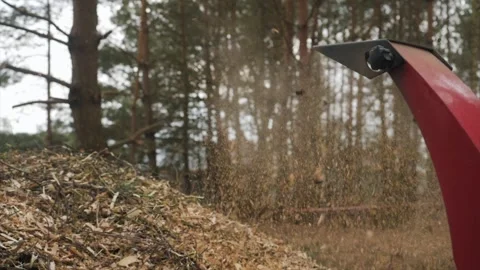 Wood chipper Machine. Super slow motion. Video stock 269135367
