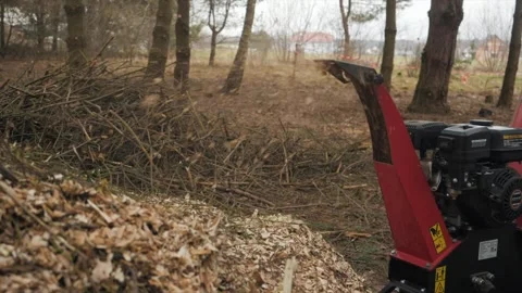 Wood chipper Machine. Super slow motion. Video stock 269510693