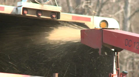Wood chipper shoots chips from limbs into the back of a truck Stock-Footage 3779181
