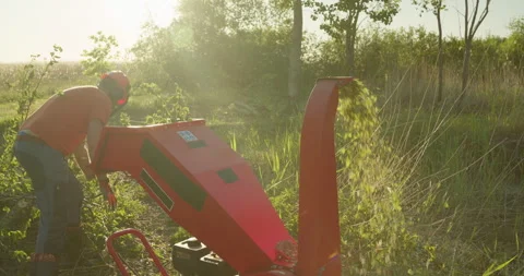 Wood chipper shredder machine man making mulch from tree branches Stock Footage 297376814