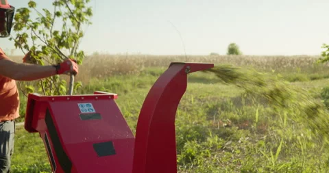 Wood chipper shredder machine man making mulch from tree branches Stock Footage 301227908