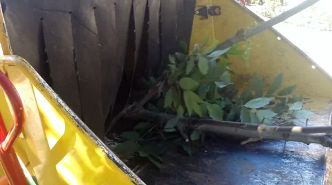 Wood chipper tree mulching machine grinds up branches Stock Footage 52489839