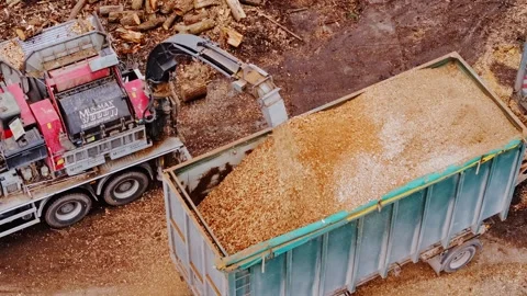 Wood Chipping Truck Processing Large Tree Stumps Into Mulch, Spring Logging Stock Footage 305211500