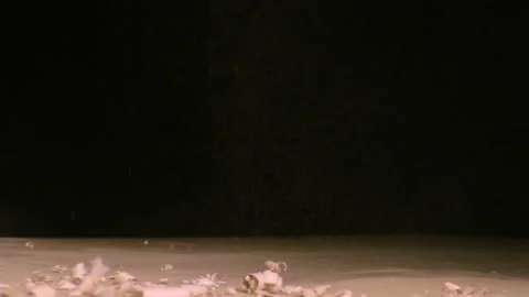 Wood chips are falling on the ground in front of black Video stock 220612322