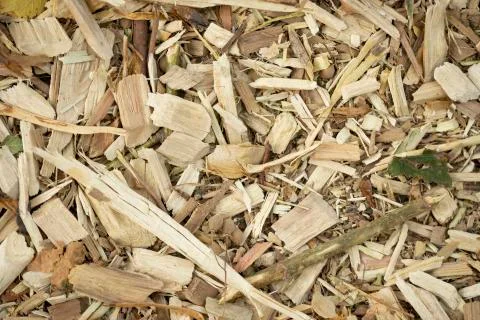 Wood chips background. Foto stock