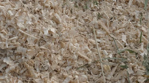 Wood chips close up 動画素材 101456878