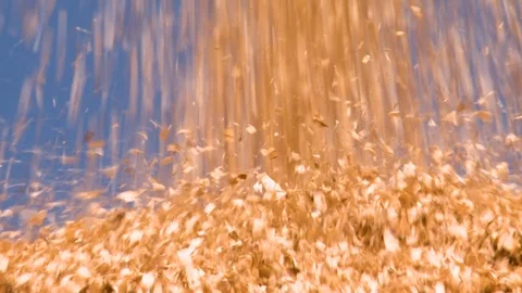 Wood chips fall in slow reverse motion.  Wood processing. Stock Footage 119301827