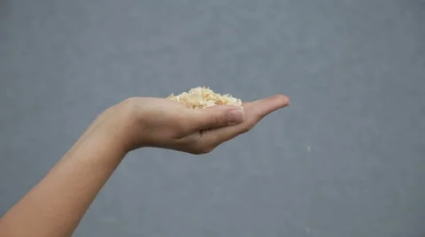 Wood chips in hand Stock Footage 63854147