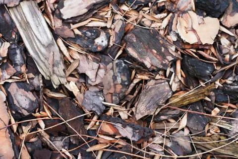 Wood Chips Mulch Stock Photos