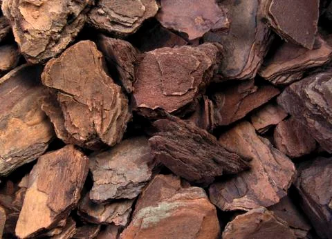 Wood chips Stock Photos