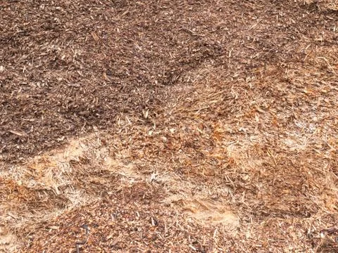 Wood chips Stock Photos