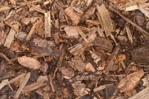 Wood chips Stock Photos