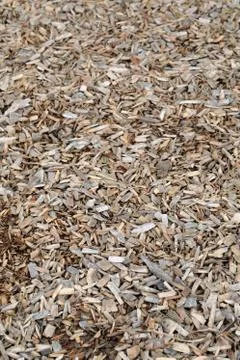 Wood chips Stock Photos