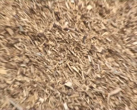 Wood chips sawdust stack Stock Footage