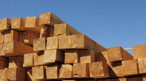 Wood chips stacked in construction yard pan/tilt. Stockbeeldmateriaal 24427301